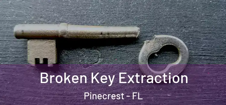  Broken Key Extraction Pinecrest - FL