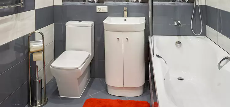Hansgrohe Shaving Mirror Pinecrest
