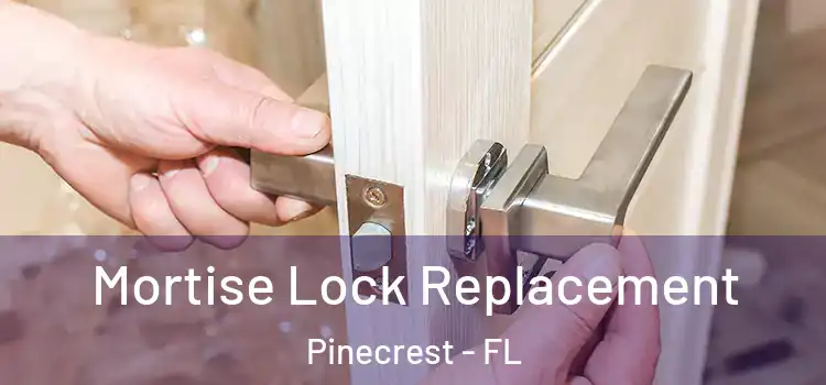  Mortise Lock Replacement Pinecrest - FL