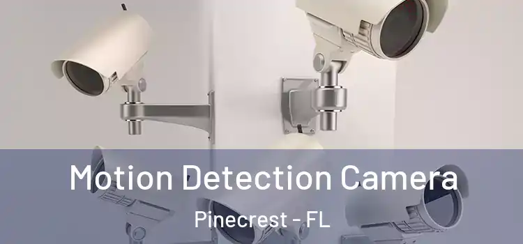  Motion Detection Camera Pinecrest - FL